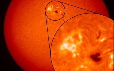 Quella treccia di plasma fra i lobi del cuore