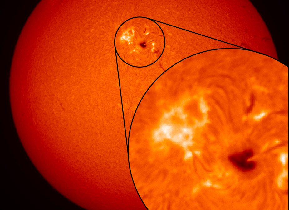 Quella treccia di plasma fra i lobi del cuore