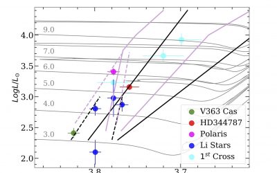 First results from the C-MetaLL project: unveiling the nature of two first-crossing Classical Cepheids