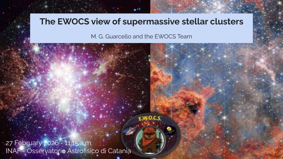 seminario_Guarcello_2026