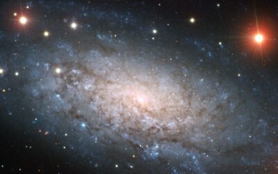 CACCIA AI NEUTRINI COSMICI: LA LEZIONE DI SN 2024GGI PER L’ASTRONOMIA MULTI-MESSAGGERA