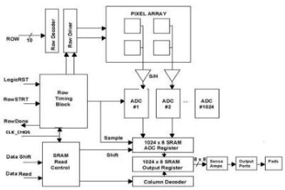 IAPS_02